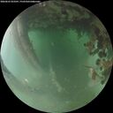 ./images/calvert/underwater/20260625/underwater20260625_053501M.jpg