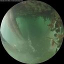 ./images/calvert/underwater/20260625/underwater20260625_054001M.jpg