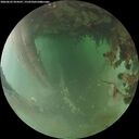 ./images/calvert/underwater/20260625/underwater20260625_054501M.jpg