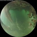 ./images/calvert/underwater/20260625/underwater20260625_055001M.jpg