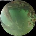 ./images/calvert/underwater/20260625/underwater20260625_055501M.jpg