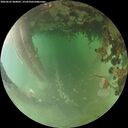 ./images/calvert/underwater/20260625/underwater20260625_060002M.jpg