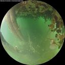 ./images/calvert/underwater/20260625/underwater20260625_061001M.jpg