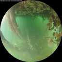 ./images/calvert/underwater/20260625/underwater20260625_061501M.jpg