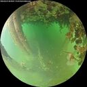 ./images/calvert/underwater/20260625/underwater20260625_063002M.jpg