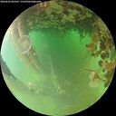 ./images/calvert/underwater/20260625/underwater20260625_063501M.jpg