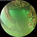 ./images/calvert/underwater/20260625/underwater20260625_064001M.jpg