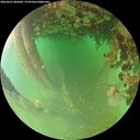 ./images/calvert/underwater/20260625/underwater20260625_064501M.jpg