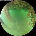 ./images/calvert/underwater/20260625/underwater20260625_065001M.jpg