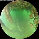 ./images/calvert/underwater/20260625/underwater20260625_065501M.jpg