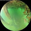 ./images/calvert/underwater/20260625/underwater20260625_070002M.jpg