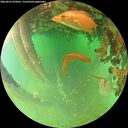 ./images/calvert/underwater/20260625/underwater20260625_070501M.jpg
