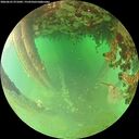 ./images/calvert/underwater/20260625/underwater20260625_071002M.jpg