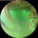 ./images/calvert/underwater/20260625/underwater20260625_071501M.jpg