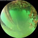 ./images/calvert/underwater/20260625/underwater20260625_072501M.jpg