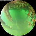 ./images/calvert/underwater/20260625/underwater20260625_073001M.jpg