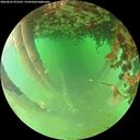 ./images/calvert/underwater/20260625/underwater20260625_073501M.jpg