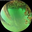 ./images/calvert/underwater/20260625/underwater20260625_074002M.jpg