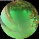./images/calvert/underwater/20260625/underwater20260625_074501M.jpg