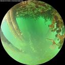./images/calvert/underwater/20260625/underwater20260625_075001M.jpg