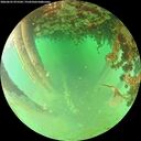 ./images/calvert/underwater/20260625/underwater20260625_075501M.jpg