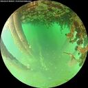 ./images/calvert/underwater/20260625/underwater20260625_080001M.jpg