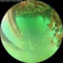 ./images/calvert/underwater/20260625/underwater20260625_080502M.jpg