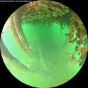 ./images/calvert/underwater/20260625/underwater20260625_081001M.jpg