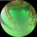 ./images/calvert/underwater/20260625/underwater20260625_082501M.jpg