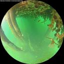 ./images/calvert/underwater/20260625/underwater20260625_083002M.jpg