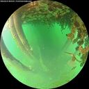 ./images/calvert/underwater/20260625/underwater20260625_083501M.jpg