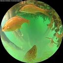 ./images/calvert/underwater/20260625/underwater20260625_084001M.jpg