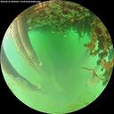./images/calvert/underwater/20260625/underwater20260625_084501M.jpg