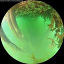 ./images/calvert/underwater/20260625/underwater20260625_085001M.jpg
