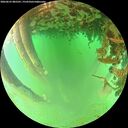 ./images/calvert/underwater/20260625/underwater20260625_085501M.jpg