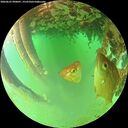 ./images/calvert/underwater/20260625/underwater20260625_090001M.jpg