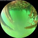 ./images/calvert/underwater/20260625/underwater20260625_090501M.jpg