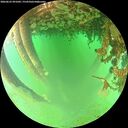 ./images/calvert/underwater/20260625/underwater20260625_091001M.jpg