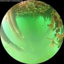 ./images/calvert/underwater/20260625/underwater20260625_092001M.jpg