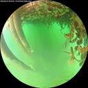 ./images/calvert/underwater/20260625/underwater20260625_092501M.jpg