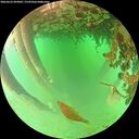 ./images/calvert/underwater/20260625/underwater20260625_093002M.jpg