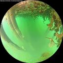 ./images/calvert/underwater/20260625/underwater20260625_093501M.jpg