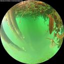 ./images/calvert/underwater/20260625/underwater20260625_094001M.jpg