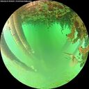 ./images/calvert/underwater/20260625/underwater20260625_095001M.jpg