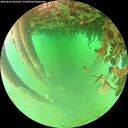 ./images/calvert/underwater/20260625/underwater20260625_095501M.jpg