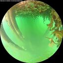 ./images/calvert/underwater/20260625/underwater20260625_100002M.jpg