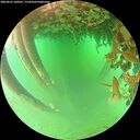 ./images/calvert/underwater/20260625/underwater20260625_100501M.jpg