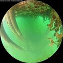 ./images/calvert/underwater/20260625/underwater20260625_103001M.jpg