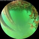 ./images/calvert/underwater/20260625/underwater20260625_104001M.jpg