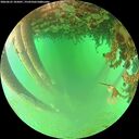 ./images/calvert/underwater/20260625/underwater20260625_105001M.jpg